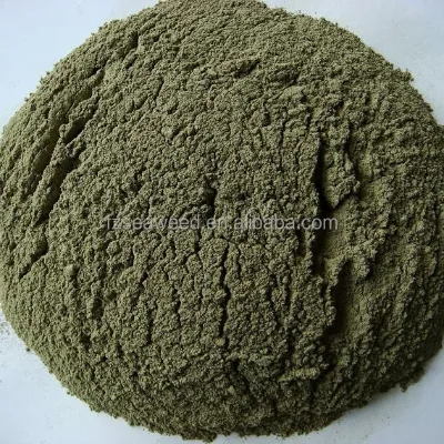 FOOD GRADE KELP POWDER