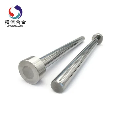 High Precision Tungsten Carbide Plunger Piston for Serdi Valve Seat