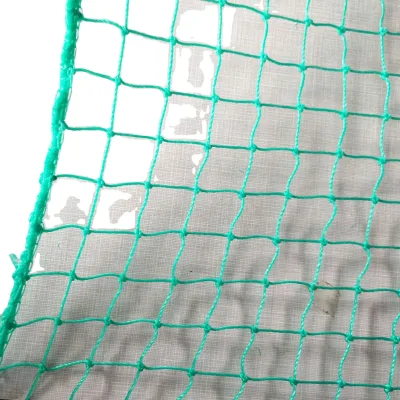 HDPE Plastic Chicken Fence Poultry Netting Soccer Sport Netting Golf Practice Trellis for Volleyball Court Baseball Field