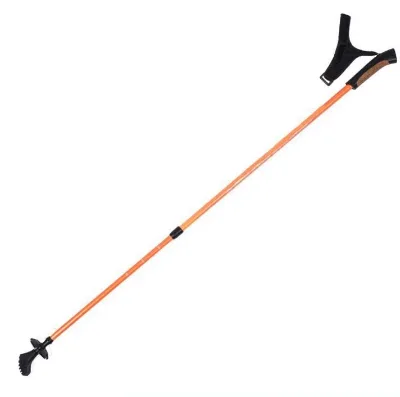 Hot Sale Customized Lightweight High Quality Durable Foldable 2 Sections Nordic Walking Trekking Poles
