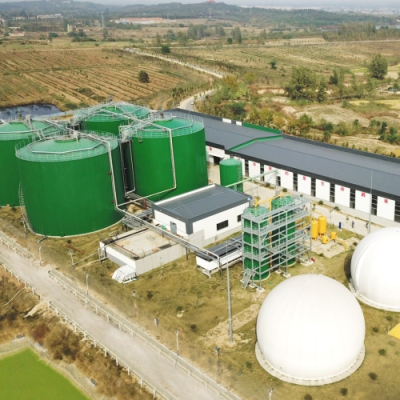 Environmentally Friendly Advanced Biogas Desulfurization System for Producing Biogas