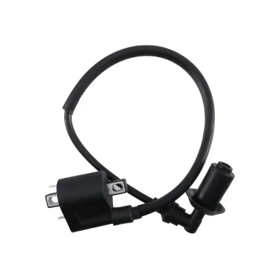 High Pressure Motorcycle Ignition Coil for CG for Delphi Rongmao System Scooter Motorbike Factory Price Modification Accessory N