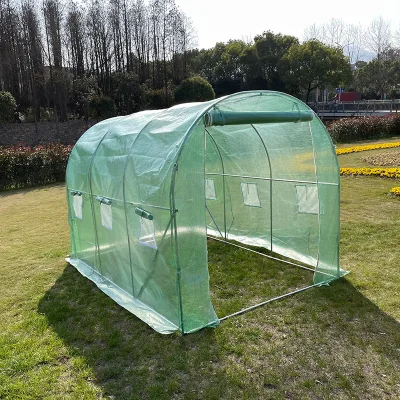 Wholesale Mini PE Film Cover Walk in Tunnel Garden Tomato Greenhouse for Sale