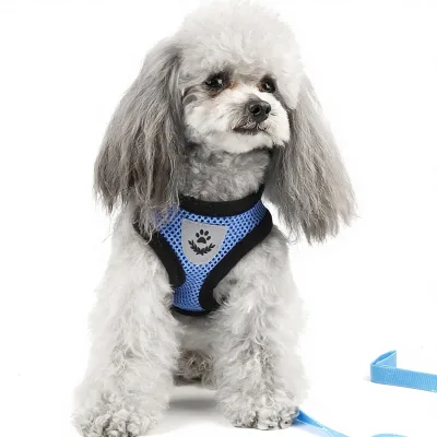 Retractable Vest-Style Pet Harness & Leash for Small Dogs/Cats-Chest Strap Anti-Slip Dog Walking Gear
