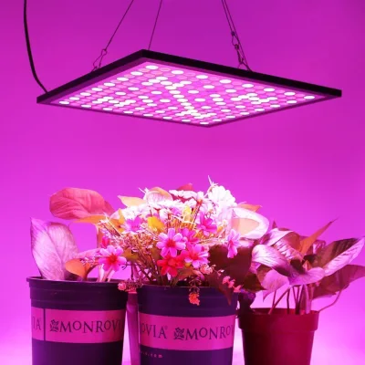 45W Square Hanging Panel Fruits Vegetables Flowers Plants Glowing Lighting 50 Watt Explosion Proof Flood Lights
