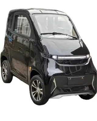 Passenger Cargo Transport 4 Wheel Enclosed Electric Car New Energy Eco-Friendly Single Motor Metal Adults Dark RWD Camera
