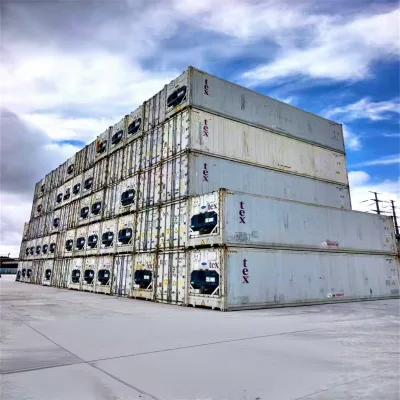 Custom Anti-Corrosion Refrigeration Pipe Long Service Life OEM ODM Refrigerated Container for International Frozen Food Trade