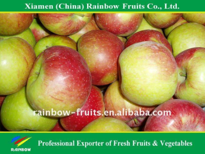 Liaoning Jiguan Apple