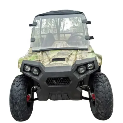 EGS Powerful 2 Seat off Road Buggy/ 200cc Utv