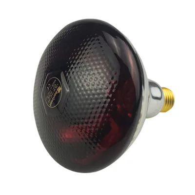 Hongxin Ready to Ship Par 38 Infared Heating Bulb Lamp Bulb 220V 150W for Duckling Farm