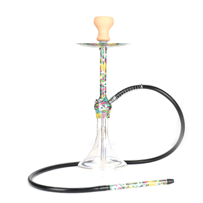 Hot New Design Shisha Hookah Fancy Gradient Colors Sheesha Hukka Medium Size Smoking Sisha with Heavy Glass Shisha