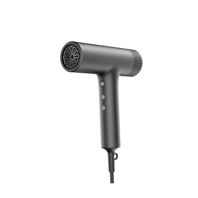 ANIONTE Mute Function Brushless Long Life Motor Professional AC Motor Hair Dryer 110000rpm High Speed Light Weight