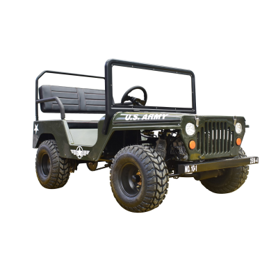 Top Fashion Cheap Utv Chinese Electric Adults E 4X4 Atv Quad Bike 1.2KW UTV
