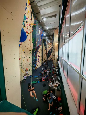 Commercial Rock Climbing Wall Project Outdoor Sports Climbing Wall Structure with Auto Belay System