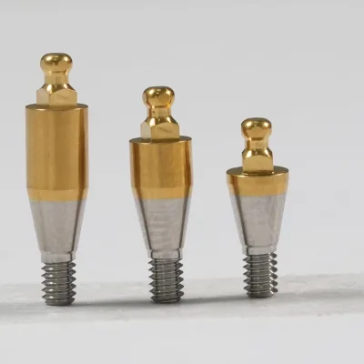High Quality Hao Chang Ming Grade 5 Titanium Class II Ball Abutment Set for Dental Implants CE Certified 3-Year Warranty for