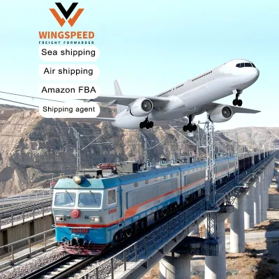 FBA Shipping China Shipping Company Freight Forwarding Sea Shipping from Guangzhou/Yiwu to Vietnam/France/Netherlands/Germany