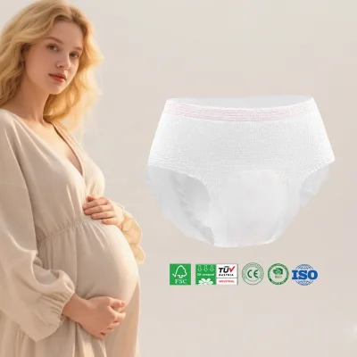 Free Sample Non-irritating Disposable Period Panties for New Mothers