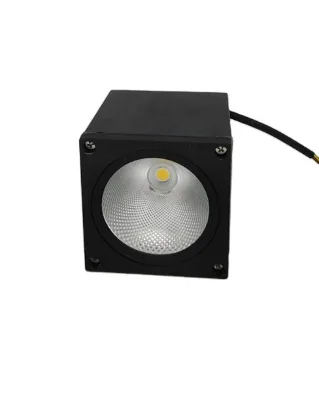 Modern Style Outdoor Light AC85-265V Surface Mounted Waterproof IP65 COB Ceiling Downlight for Hotel Project