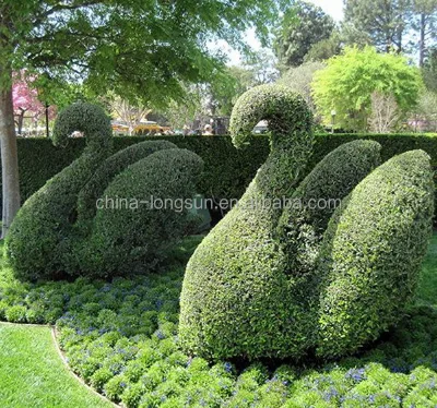 LSWS15122606 Custom Landscaping Decorative Swan Artificial Topiary Made by Artificial Plastic Leaves