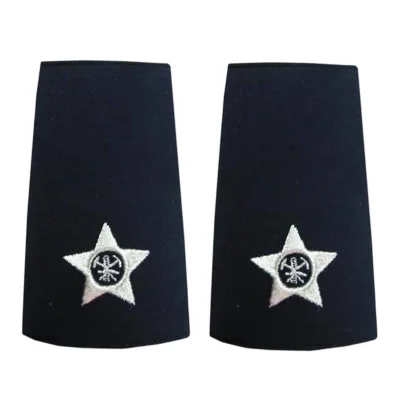 AWELLS Embroidered Epaulet Stylish Shoulder Badge for Aviation Teams High Quality Material Comfortable Fit Classic Appearance