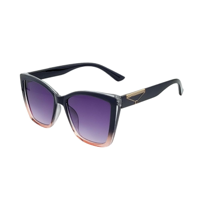 New Popular Fashion Style Designer Luxury PC Sunglasses Gradient Gray Lens Cat Eye