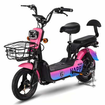 Electric Bikes with 48V Lead-acid Battery Rear Hub Motor Electronic Features 50km Range for Commuting