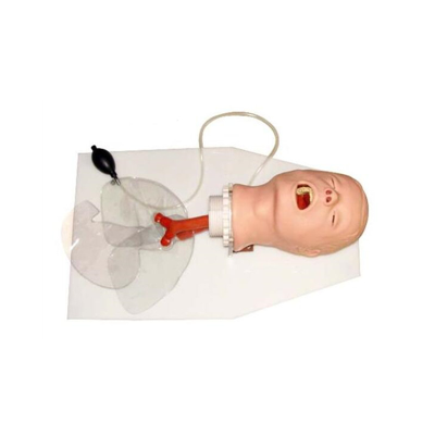 Human Trachea Intubation Training Nursing Manikin for Medical Training