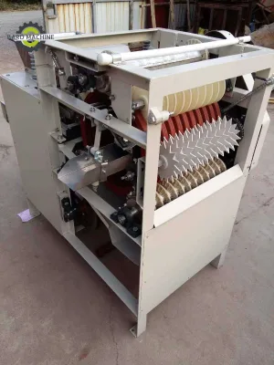 Automatic Red Skin Peeler Machine for Nuts Hazelnuts Peanuts Chickpeas Beans Wet Almonds-Service Equipment