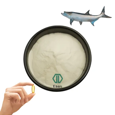 Natural Fish Oil Dha Powder Health Supplements Marine Fish Extract 27% Dha Fish Oil Powder