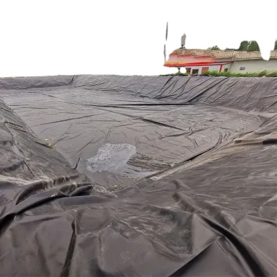 Industrial-Style Fish Shrimp Farm Pond Geomembrana HDPE Liner PE PVC EPDM Plastic Materials for Aquaculture Dam Project