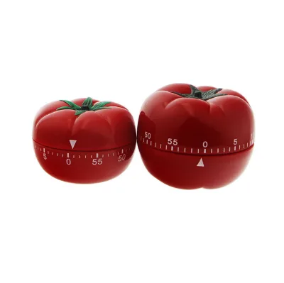 Kitchen Timer Tomato Shaped Reminder Timer T101