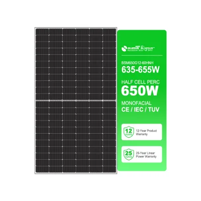 All Black Solar Panels 610W 650W Modern Solar Panels Commercial Use Solar Panel Cleaning Robot