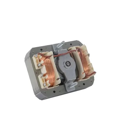 Robust Small Frame High Power Solution for Demanding Hotel Environments High Torque Small Electric Motors Oven Parts