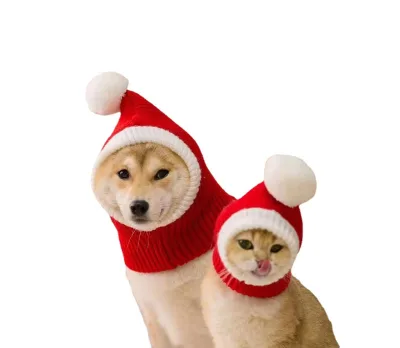 New Design Marry Christmas Neckerchief Beanie Cap Warm Winter Knitted Cat Hats Dog Christmas Hat for New Year Party
