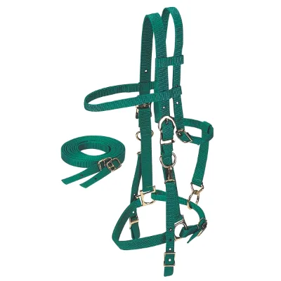 EQUIZONE Bridle and Halter Combo with Reins Model HL-2203 Made in Taiwan