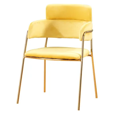 Velvet leisure chair with golden color frame
