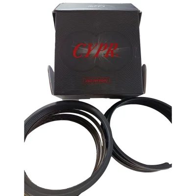 Heavy Duty Truck Engine Parts Engine Piston Ring