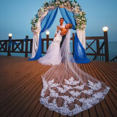 Pure White Fashion Exquisite Bridal Veil Length 3 Meters Wide 1.5 Meters Long Wide Embroidered Lace Veil