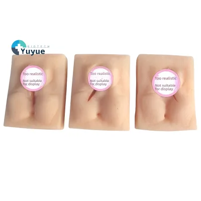 Perineal Suturing Practice Model for Gynecology & Obstetrics Medical Science Training Module on Vulva Repair Skills