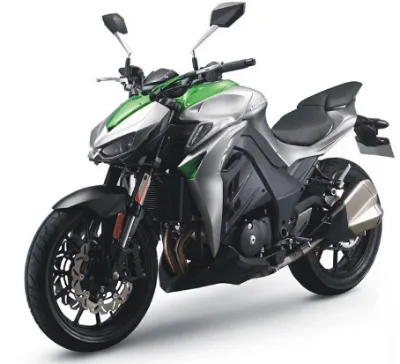 Kawasaki Z1000 N19 Big Python Street Bike Race Motorcycle with Max Speed 120