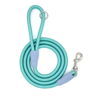 Dog Leashes: Small-sized Dogs Such As Pugs and Teddy Bears Are More Resistant to Being Pulled Away Than Regular Pet Dog Leashe