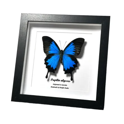 Handmade Butterfly Specimen Shadow Box 8x10 8x8 Inches Square Decorative Photo Frame Luxury Home Decor Wall Art Display