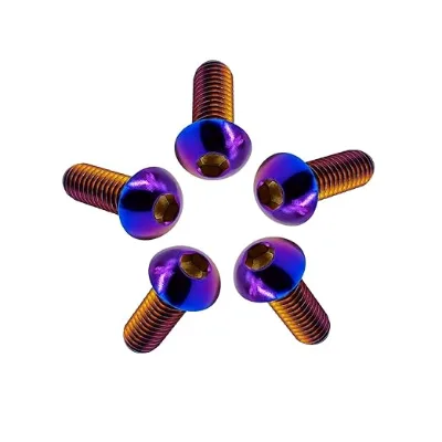 Costom Dress Nuts Head Nylon Zinc Polishing Fasteners Iron Stainless Hex Alloy Black Plated Aluminium and Steel Copper Bolts