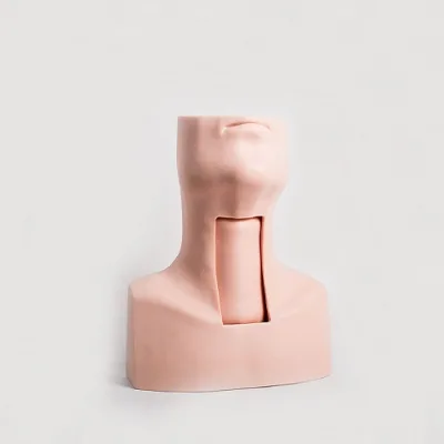 GD/J58 General Doctor Tracheostomy Simulator(medical Model)