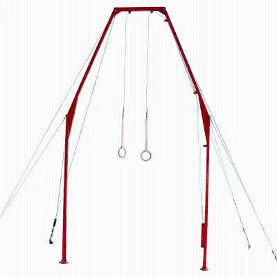 Fig Approve Gymnatsic Ring Gymnastic Equipment Competition Gymnastic Ring for Club Training or Competition
