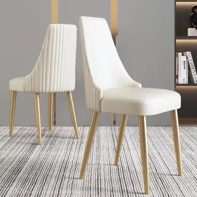 Minimalist Modern Fabric Velvet Upholstered Indoor Dining Room Chair for Apartment Mall School Wine Cellar Use