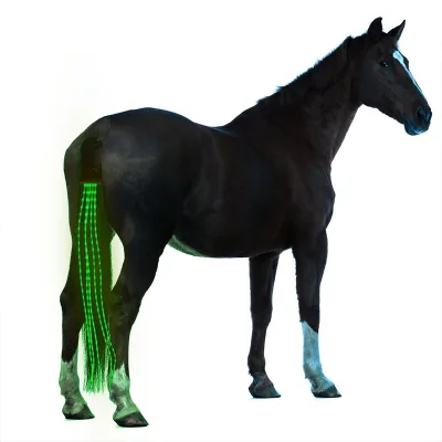 High Bright  Led Horse Tail Light for Equestrian