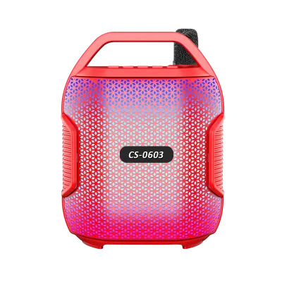 Outdoor Portable Magnetic Bluetooth Portable Speaker Wireless Microphone Charging Case Audio Subwoofer Player Microphone