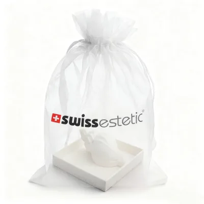 Wholesale Custom logo Packaging Organza Small Large Gift Pouch Wedding Jewelry Sheer Organza Bag With Satin Rope