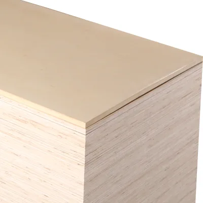New design birch plywood hpl laminate made in China